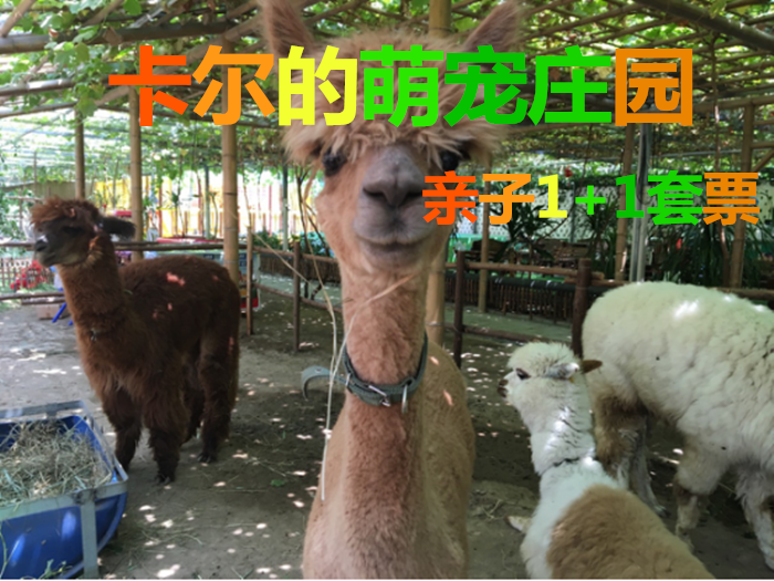 仅128元！享原价229元的【北辰区】卡尔的萌宠庄园亲子1+1套票，包含：热带植物观光和小动物观赏等，总营业面积达两万平米,其中包含占地13000平米的热带亚热带植物区,萌宠小动物区