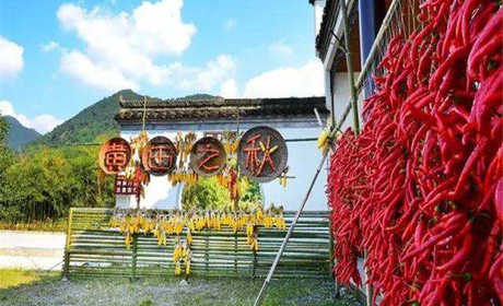 仅40元就享受56元的【泾县】黄田景区门票一张，整个村落镶嵌在青山绿水之中，境内有保存完好的清代古民居建筑群，是珍贵的历史文化遗产，现存古建筑57处，单体建筑110栋，建筑面积3.3万平方米，
