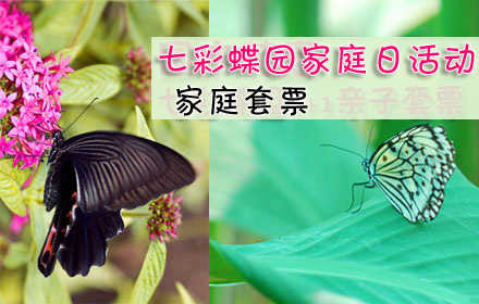 仅99元！享原价495元七彩蝶园家庭日活动•家庭套票1张！含：蝴蝶艺术展、蝴蝶标本展、我的梦想与“神九”同行大型公益活到展、蝴蝶谷、蝴蝶世界、蝴蝶科普展、蝴蝶宝宝之家！购买一张可一家5人使用哦！！！游
