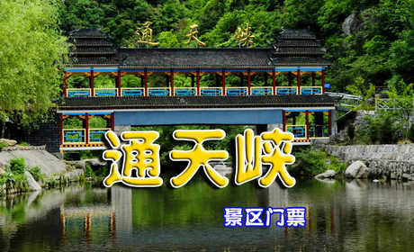 仅35元享受原价40元【河南洛阳】通天峡景区门票一张，悬崖峭壁，灵秀峻峨，飞瀑连环，景观灵秀峻峨，原始天然，已建成景点包括：风雨桥、琵琶湖、狮子峰、无量天樽、日月潭、金龟探水、飞来桥、通天门、如来指、