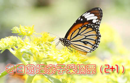 仅210元！原价348元的七彩蝶园家庭赏蝶门票+采摘票(2+1)，项目包含：参观七彩蝶园及100元采摘票（参观：蝴蝶文化展、蝴蝶标本展、蝴蝶谷、蝴蝶世界、蝴蝶科普展、蝴蝶宝宝之家，采摘：草莓、20余种