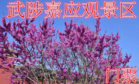 仅29.9元，享原价50元的【武陟县】嘉应观景区门票，含：门票一张
