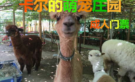 仅38元！即享原80元的【北辰区】卡尔的萌宠庄园成人门票，包含：热带植物观光和小动物观赏，总营业面积达两万平米,其中包含占地13000平米的热带亚热带植物区,萌宠小动物区