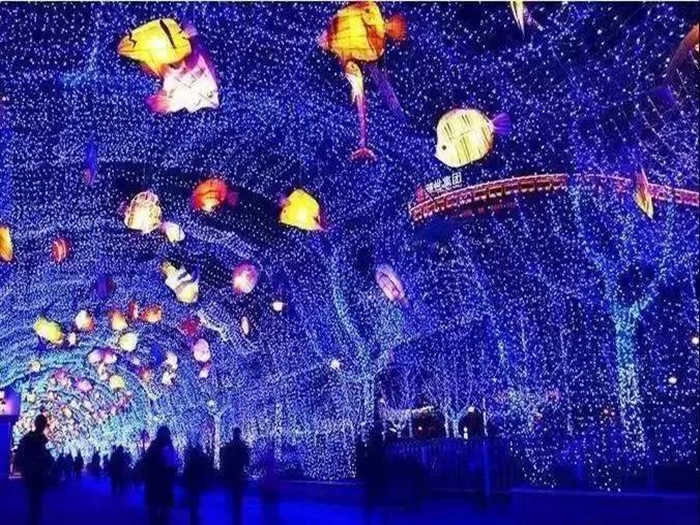 仅需24.9元，享原价30元的【周口市】翔耀生态园魔幻水幕星光灯海艺术节门票一张；夜幕降临，百万灯光争相辉映！ 置身灯海，欣然陶醉！