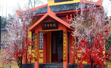 仅60元！即可购买最高价值120元孔雀东南飞景区成人票；【安庆市】孔雀双飞地，爱情朝圣园——这里是修身养性、休闲度假、吟诗作赋、谈情说爱的乐园，也是古皖文化史、诗歌发展史、农耕文化史研究与探秘的宝库。