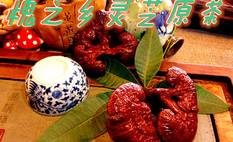 仅268元享价值398/200g元槐之乡灵芝原茶；灵芝茶具有免疫调节、耐缺氧、抗疲劳的保健作用，是从灵芝中提炼精制而成的天然保健品。