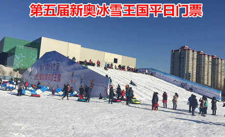 仅30元！即享原价60元的【鸟巢/水立方】第五届新奥冰雪王国平日门票一张，包含：冰雪王国平日门票一张，快带孩子来玩雪吧！