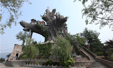 仅20元，享原价40元的【邯郸】九龙槐风景区入园门票（含伏羲庙、荷花池）。此树位于河北省邯郸市涉县县城西。因其树干似九棵树长在一起，树上又生有九大干枝，腕蜒曲折，故被称为“九龙槐”。