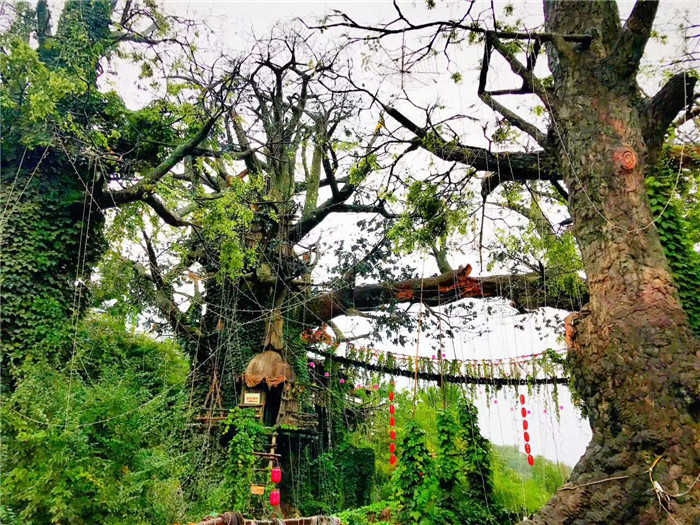仅70元，享原价80元的【宝鸡】炎帝影视基地成人门票。陕西宝鸡茵香河炎帝影视基地，国家AAA级旅游景区,占地面积约十万平方米，总投资1.2亿，是西北首家以炎帝黄帝蚩尤嫘祖文化为主题的影视主题公园