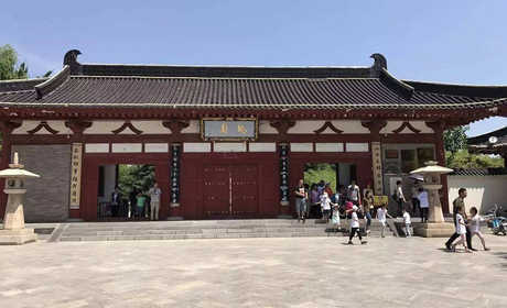 仅48元，享原价158元的【永济】柳园游乐场套票；柳园游乐场，永济市的户外大型游乐场。