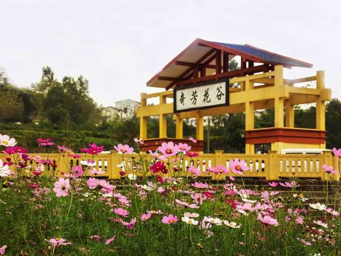 仅30元享受38元的【重庆】奇芳花谷景区成人票一张，奇芳花谷AAA景区，将把花谷打造成一片花，一幅画，一首诗，一座园。真正成为万州的一张名片，万州人民的后花园。