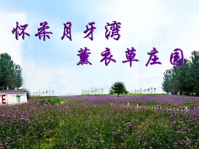 仅25元即可享受原价40元【怀柔】赏花浪漫月牙湾薰衣草庄园通票：戏水摸鱼+彩绘鹅卵石+喂养小动物+吊床秋千，享受快乐的亲子时光！