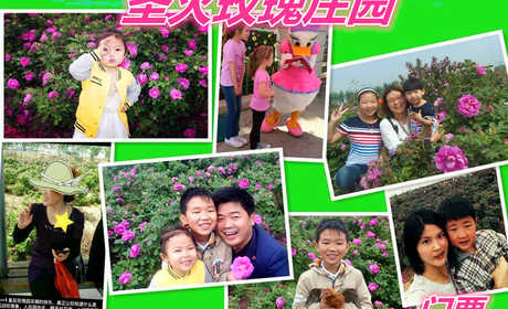 仅48元就享受60元的【衡水市】圣火玫瑰庄园门票一张，含：可赠送2斤玫瑰花2瓶玫瑰酱，目前培育出了康达玫瑰1号、2号、3号、5号新品种，计划在2017年进行康达玫瑰科技成果鉴定、植物新品种权保护申请。