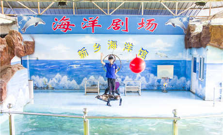 仅25元享原价30元【新乡市】人民公园海洋馆学生票一张。海底隧道、人鲨共舞、美人鱼表演、南美海狮表演、西双版纳鸟艺表演、淡水鱼隧道、海洋生物展示、海底景观圆柱鱼缸等多个景区。