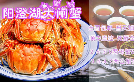 【全国顺丰包邮】仅288元，尊享原价798元的正宗澄仔牌阳澄湖大闸蟹（10只），含：2.6-3.0两母蟹5只，3.6-4.0两公蟹5只，内设冰袋  另送：蟹醋一瓶，吃蟹工具（三件套）一件，姜茶(3小包