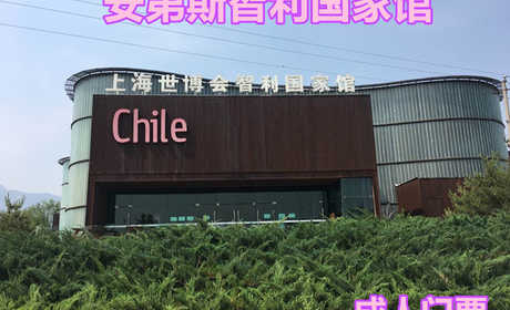 仅20元，享原价60元的【蓟县】安第斯智利国家馆成人门票，智利风情园智利国家馆，以其独特的方式，欢迎各界朋友观光游玩。
