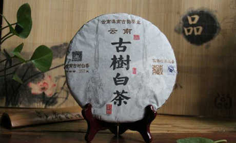 古树白茶   2015年