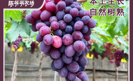葡萄