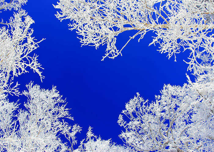 仅225元，享原价480元【哈尔滨】亚布力新濠阳光滑雪场 初级滑雪3小时（含雪具）+虎峰岭景区门票+接送车（4人起团）为滑雪者营造舒适、快乐的优质滑雪体验