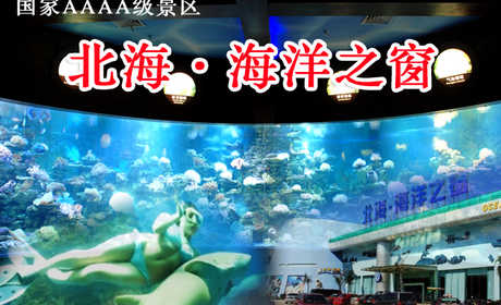 仅88元，享市场价138元的北海海洋之窗4A景区门票！（不含4D影院）有海洋生物标本，航海展览，人与鲨鱼互动表演等！是一座引领海洋科技时尚、传播海洋文化品位、领略海洋无限风光的大型综合性海洋博览馆！
