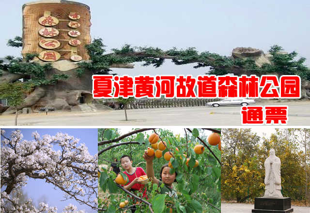仅35元，享原价50元的德州夏津黄河故道森林公园景区通票。环境幽静，风景绝佳，美不胜收，令人心旷神怡，犹如人在画中游，亦真亦幻，全然忘却尘世间的喧嚣与烦恼。