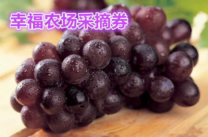 仅需1元，享受原价30元的【洛阳】幸福农场葡萄采摘券一张，包含内容免费品尝园区葡萄；1.4米以下免费品尝，1.4米以上购成人票 