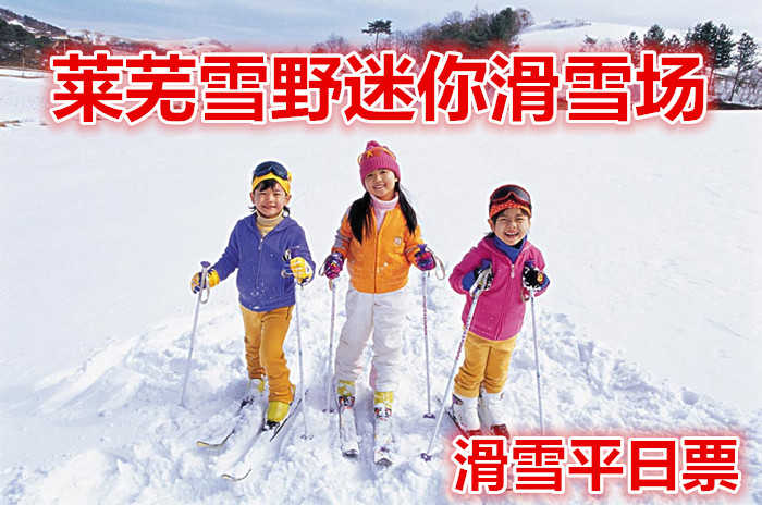仅75元就享受90元的【莱城区】莱芜雪野迷你滑雪场滑雪平日票，含：雪鞋，雪板，雪仗，魔毯
