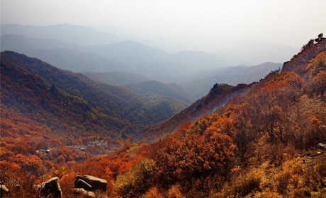 仅75元，享原价80元的【赤峰】道须沟景区成人门票。道须沟景区已经具备“山水特色休闲旅游”的品牌形象，成为了远近闻名的山水娱乐、生态旅游目的地。