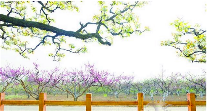 仅14.9元就享受20元的【平原县】康熙探花庄园亲子1+1套票（仅限四月5日-7日使用）一张，含：千奇百怪的动物、空中霸主，陆地之王 、魔法稻草人艺术节。