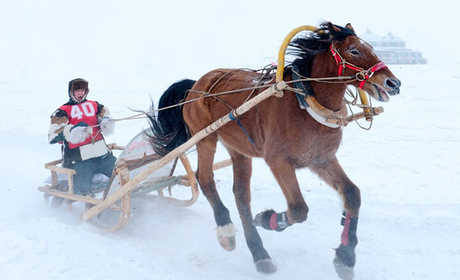 仅49元即可享原价60元的【天津】天津百亩冰雪大世界1小时雪圈门票，包含：门票+雪圈