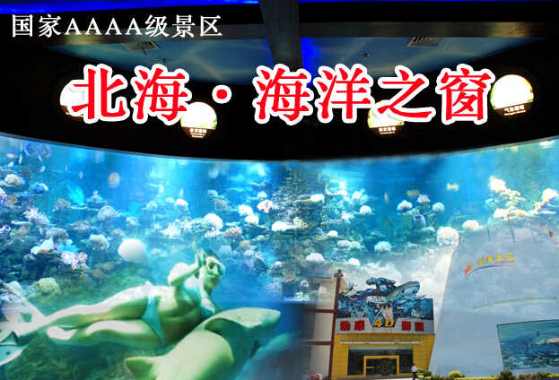 仅价93元，享市场价138元的北海海洋之窗4A景区门票！有海洋生物标本，航海展览，人与鲨鱼互动表演等！是一座引领海洋科技时尚、传播海洋文化品位、领略海洋无限风光的大型综合性海洋博览馆！