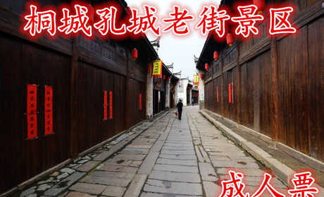 仅50元！即享原价60元的【桐城】孔城老街景区成人票，含门票一张，距今已有1800多年历史，是孔子的后人所建，故命名为孔城。