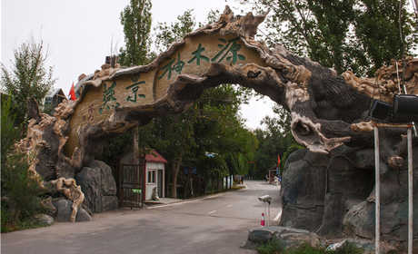仅88元，享原价98元的【乌鲁木齐】燕窝水世界儿童门票一张，燕窝水世界是国内首家气膜水上乐园，西北最大的室内水主题乐园，新疆唯一的四季运营乐园，对本地游客的假日出行提供多元化的选择