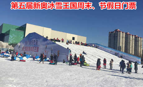 仅40元！即享原价60元的【鸟巢/水立方】第五届新奥冰雪王国周末节假日门票一张，包含：冰雪王国周末节假日门票一张，快带孩子来玩雪吧！