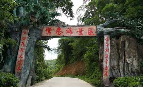 仅60元！即可购买最高价值85元平果鸳鸯滩漂流景区儿童票；【百色市】藤缠树绕千番景、江回路转鸳鸯漂。“藤缠树绕千番景、江回路转九重天”就是鸳鸯滩最为真实的写照。