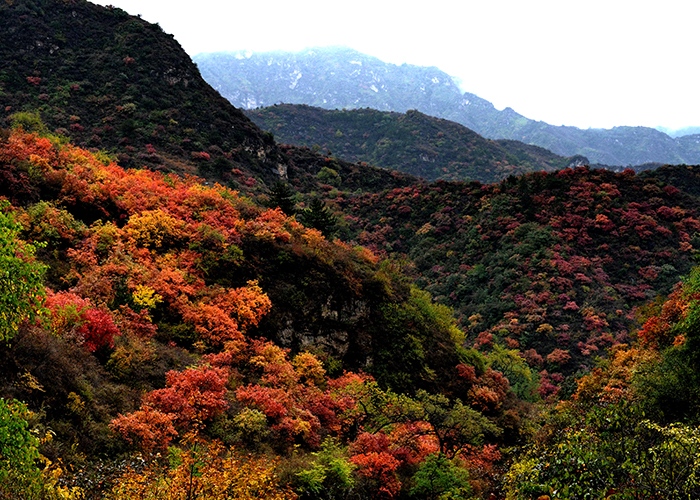 白银坨景区